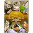 russische bücher: Арутюнян О.С. - Домашние животные. Популярный иллюстрированный гид