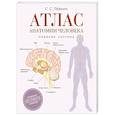 russische bücher: Лёвкин С.С. - Атлас анатомии человека. Нервная система