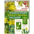 russische bücher: Татьяна Ильина - Большая иллюстрированная энциклопедия лекарственных растений