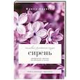 russische bücher: Окунева И.Б. - Сирень. Символ русского сада. Шпаргалка-трекер по посадке и уходу