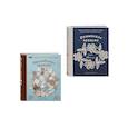 russische bücher:  - Комплект из 2х книг: Румынское кружево + Ирландское кружево