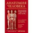 russische bücher: Анастази Дж., Гаудио Э., Таккетти К. - Анатомия человека:атлас