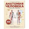 russische bücher: Николенко В.Н. - Анатомия человека. Сердце и сосуды, нервная система, органы чувств, общий покров