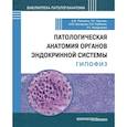 russische bücher: Лапшина Анастасия Михайловна - Патологич анатомия органов эндокр системы. Гипофиз