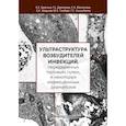 russische bücher: Брагина Е. Е. - Ультраструктура возбудителей инфекций, передаваемых половым путем