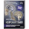 russische bücher: Саверио Чинти, Антонио Джордано - Нейроанатомия. Иллюстрированный атлас нервной системы