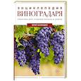 russische bücher: Загвоздин Ю.М. - Энциклопедия виноградаря