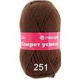 :  - Шерсть 100% "Секрет успеха". Цвет 251-Коричневый. 10x100 г.