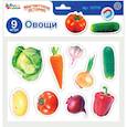 :  - Магниты «Овощи»