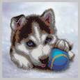 :  - "Щеночек хаски" 27x27см набор на атласе для вышивания чешским бисером "Вышивочка" в коробке ВЛ-067