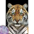 :  - Алмазная вышивка с частичным заполнением «Тигр» 20x30 см, на холсте