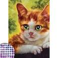 :  - Алмазная вышивка с частичным заполнением "Котёнок", 15x21 см