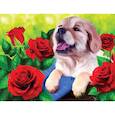 :  - Алмазная вышивка с полным заполнением на холсте 30х40 "Щенок"