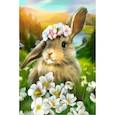 :  - Алмазная вышивка с полным заполнением 20х30 «Зайка», холст