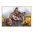 :  - Алмазная мозаика «Рыжий кот», 31 цвет, 28 см x 19 см
