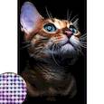 :  - Алмазная вышивка с частичным заполнением «Взгляд кошки» 20 x 30 см на холсте