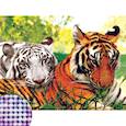 :  - Алмазная вышивка с частичным заполнением на раме «Тигры», 30 x 40 см. Набор для творчества