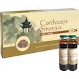 :  - Китайский кордицепс, 10 ампул x 10 мл