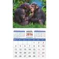 :  - Календарь на магните 2016. Год обезьяны. Два шимпанзе (20633)