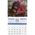 :  - Календарь магнитный на 2016. Год обезьяны. Орангутанг с книгой по теории эволюции (20635)
