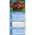 :  - Календарь квартальный на магните 2016. Год обезьяны. Симпатичный орангутанг (34623)