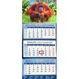 :  - Календарь квартальный на 2016 год "Год обезьяны. Орангутанг на траве" (14602)