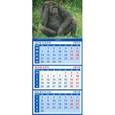 :  - Календарь квартальный на магните 2016. Год обезьяны "Задумавшаяся горилла" (34618)