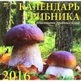 :  - Календарь настенный на 2016 год "Календарь грибника" (70623)