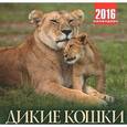 :  - Календарь 2016 (на скрепке). Дикие кошки