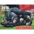 :  - Календарь 2016 (на скрепке). Обезьяны