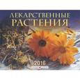 :  - Календарь 2016 (на скрепке). Лекарственные растения