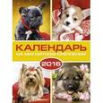 :  - Календарь на 2016 год. СОБАКИ (на магните) (39585-36)