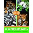 :  - Календарь 2016 год. ЖИВОТНЫЕ (на магните) (39591-36)