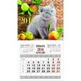 :  - Календарь на 2016 год. КОТЕНОК (на магните) (39574-24)