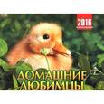 :  - Календарь 2016 (на скрепке). Домашние любимцы