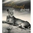 :  - Wild Moments (Дикие животные). Календарь 2016 г.