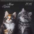 :  - Календарь на 2016 год "Домашние любимцы. Милые котята", настенный