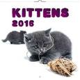 russische bücher:  - Календарь на 2016 год "Котята"