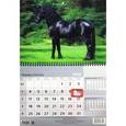 :  - 2016 Календарь 3D "Лошадь"