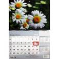 :  - 2016 Календарь 3D "Ромашки"