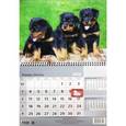 :  - 2016 Календарь 3D "Щенки"