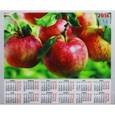 :  - 2016 Календарь настенный 3D "Яблоки" 43х52 (3DCL-App)
