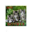 :  - Календарь 2019 "Котята" (70905)
