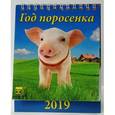 :  - Календарь настольный на 2019 год "Год поросенка" (10901)