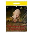 :  - Календарь 2019 "Год поросенка в живописи" (11902)