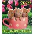 :  - Календарь 2019 "Год поросенка"