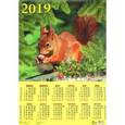 :  - Календарь 2019 "Белка с орехом" (90908)