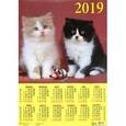 :  - Календарь на 2019 год. «Забавные котята»