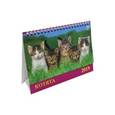 :  - Календарь 2019 "Котята" (19909)