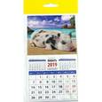 :  - Календарь 2019 "Год поросенка. На золотом песочке" (20932)